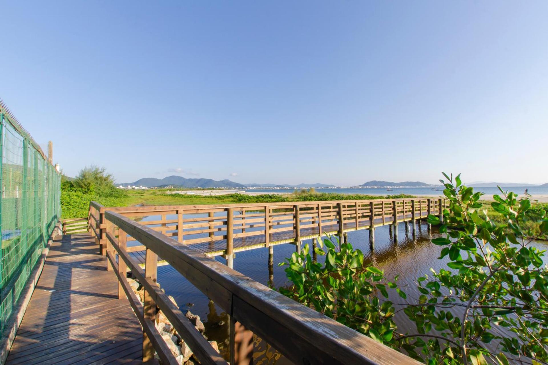 Apto Pe Na Areia Em Condominio Com Piscina N1298 Флорианополис Экстерьер фото